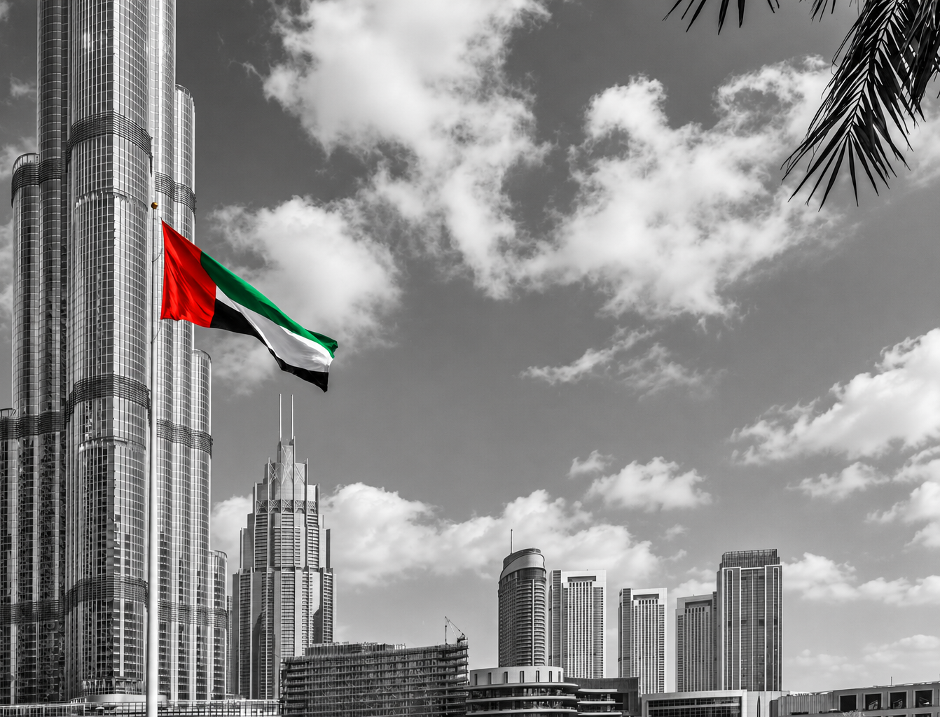 منصة حماية المستهلك